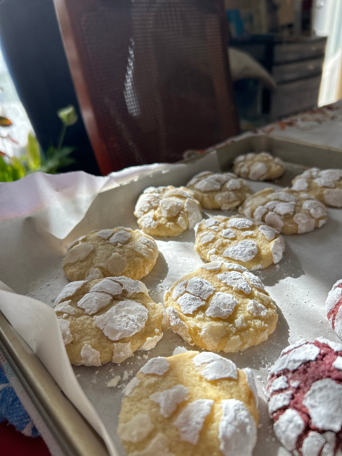 Crinkle Cookies